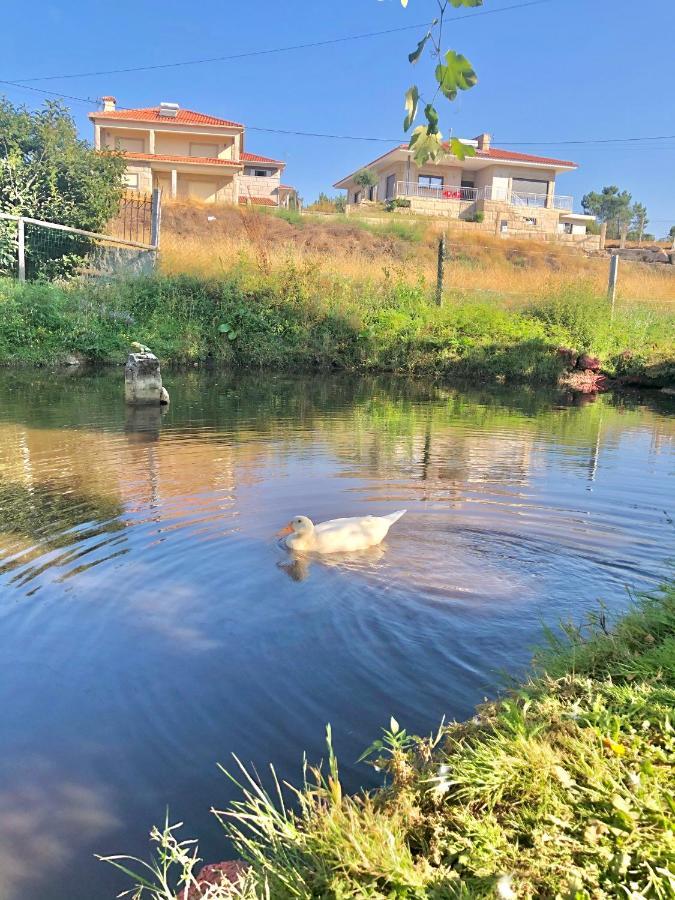 Casa Da Quinta Da Prelada Simao Partie Basse Holiday home
