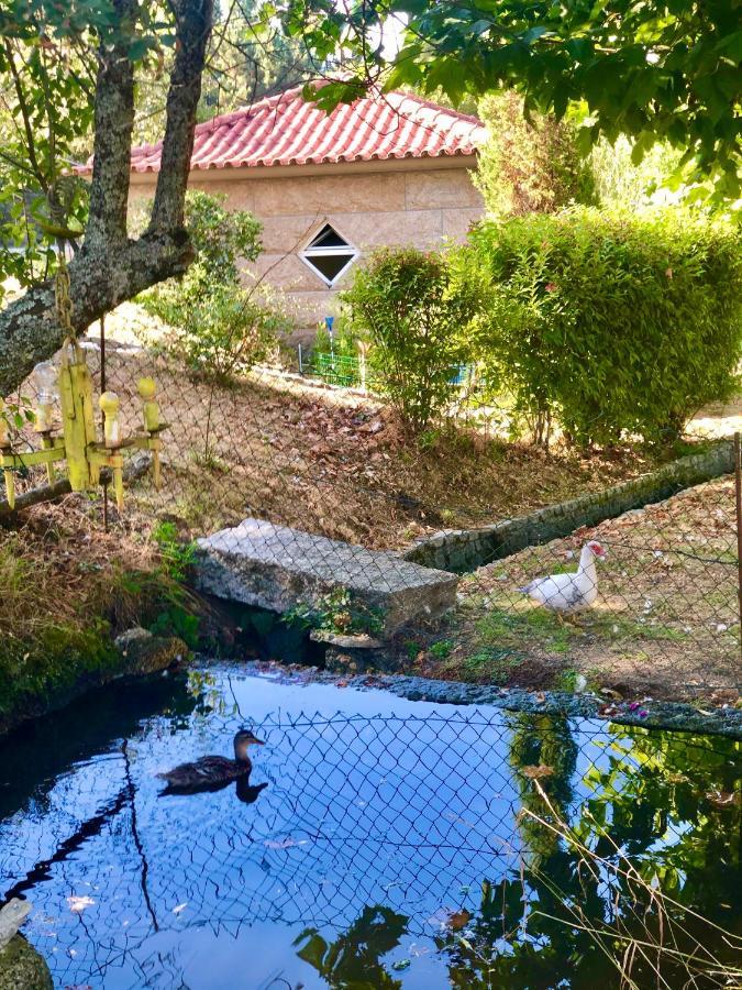 Casa Da Quinta Da Prelada Simao Partie Basse *
