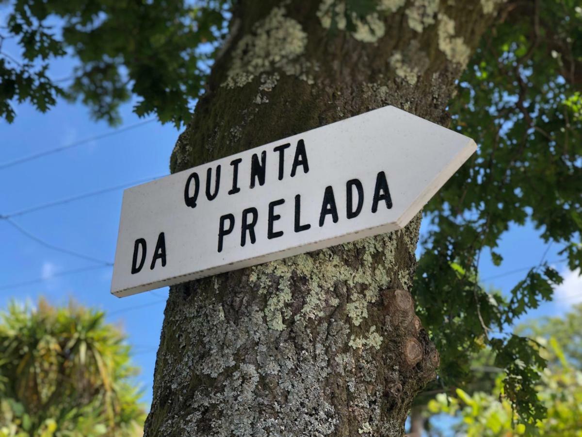 Holiday home Casa Da Quinta Da Prelada Simao Partie Basse *