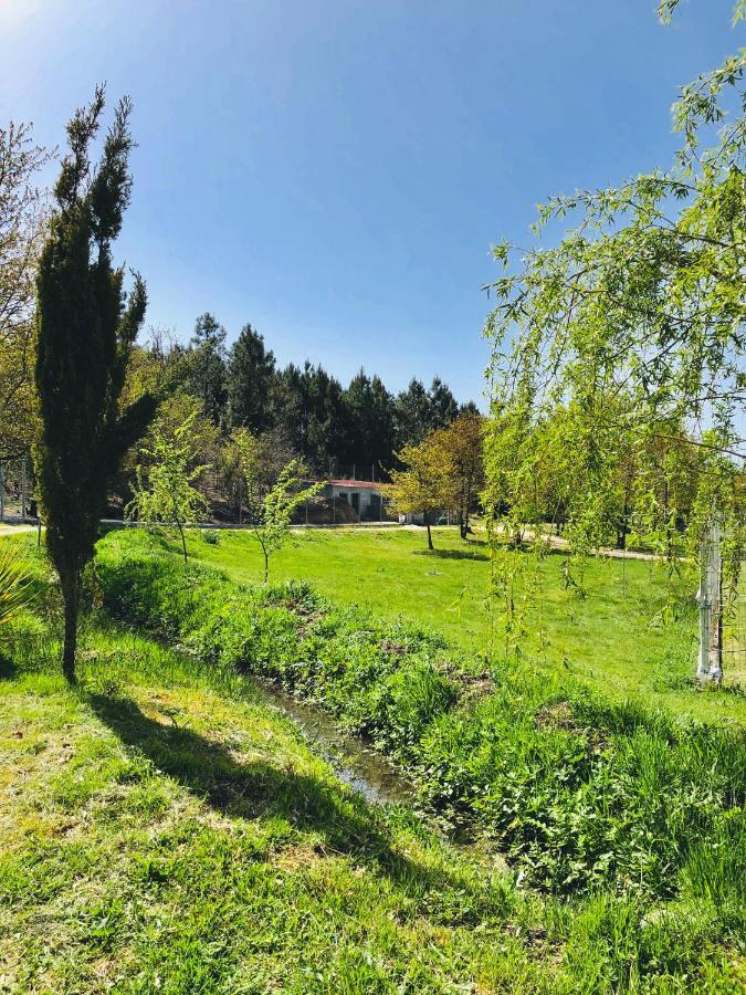 Casa Da Quinta Da Prelada Simao Partie Basse *